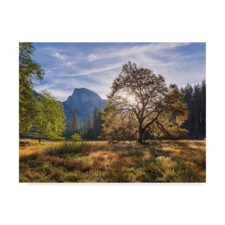 Adam Burton 'Cooks Meadow' Canvas Art,18x24